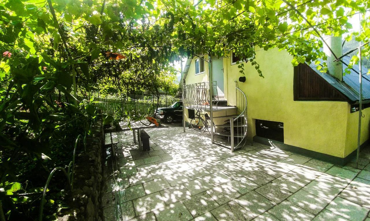 Bacho,S Cottage Borjomi Exterior photo